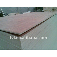 Plywood for Packing for UAE market